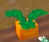 Hytale Carrot stage 4
