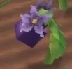 Eggplant Stage 3 Hytale